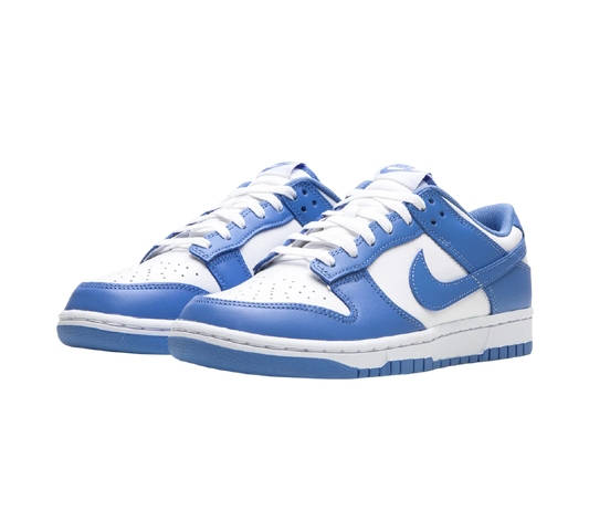 Nike Dunk Low Polar Blue